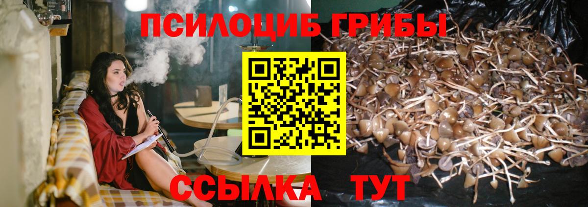 Чита  Галлюциногенные грибы Psilocybe  Вход с VPN  Псилоцибиновые грибы ЛСД 