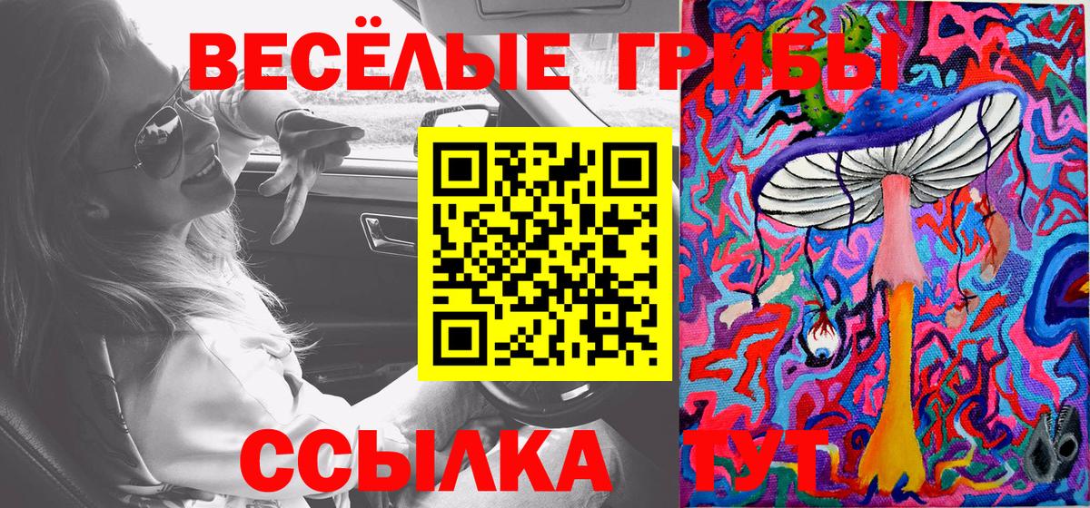 Галлюциногенные грибы GOLDEN TEACHER Чита